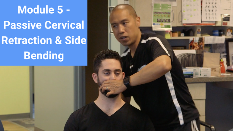 Passive Cervical Rotation Modern Manual Therapy: The Eclectic Approach to UQ and LQ Assessment a