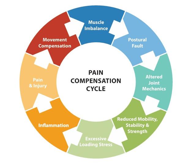 Figure 1.4: Pain-Compensation Cycle.
