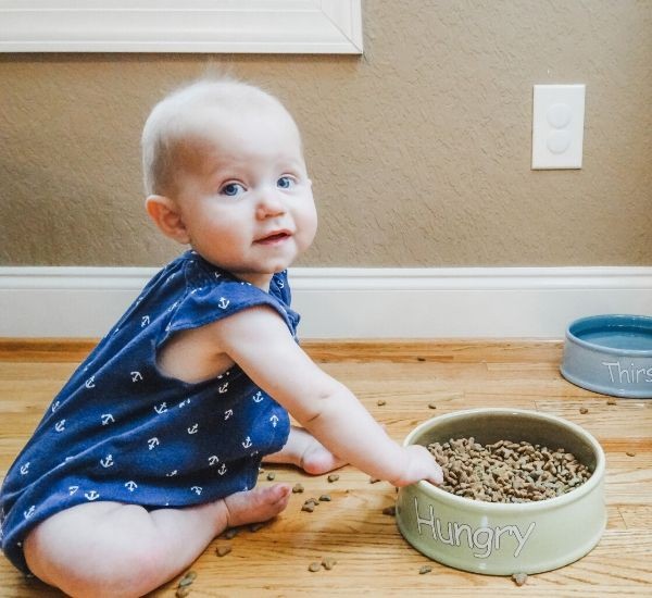Door Buddy Story - keep baby out of cat food