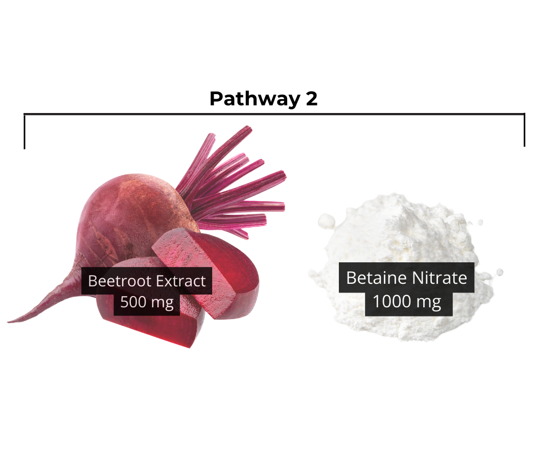 beetroot and betaine nitrate powder