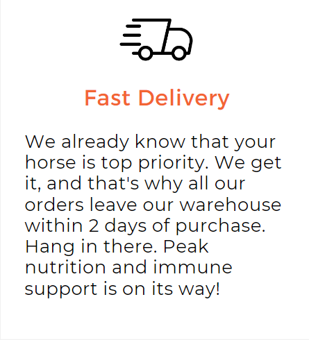 Selvita Equine Fast Delivery