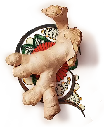 Raw ginger, kept on an artwork of a flower