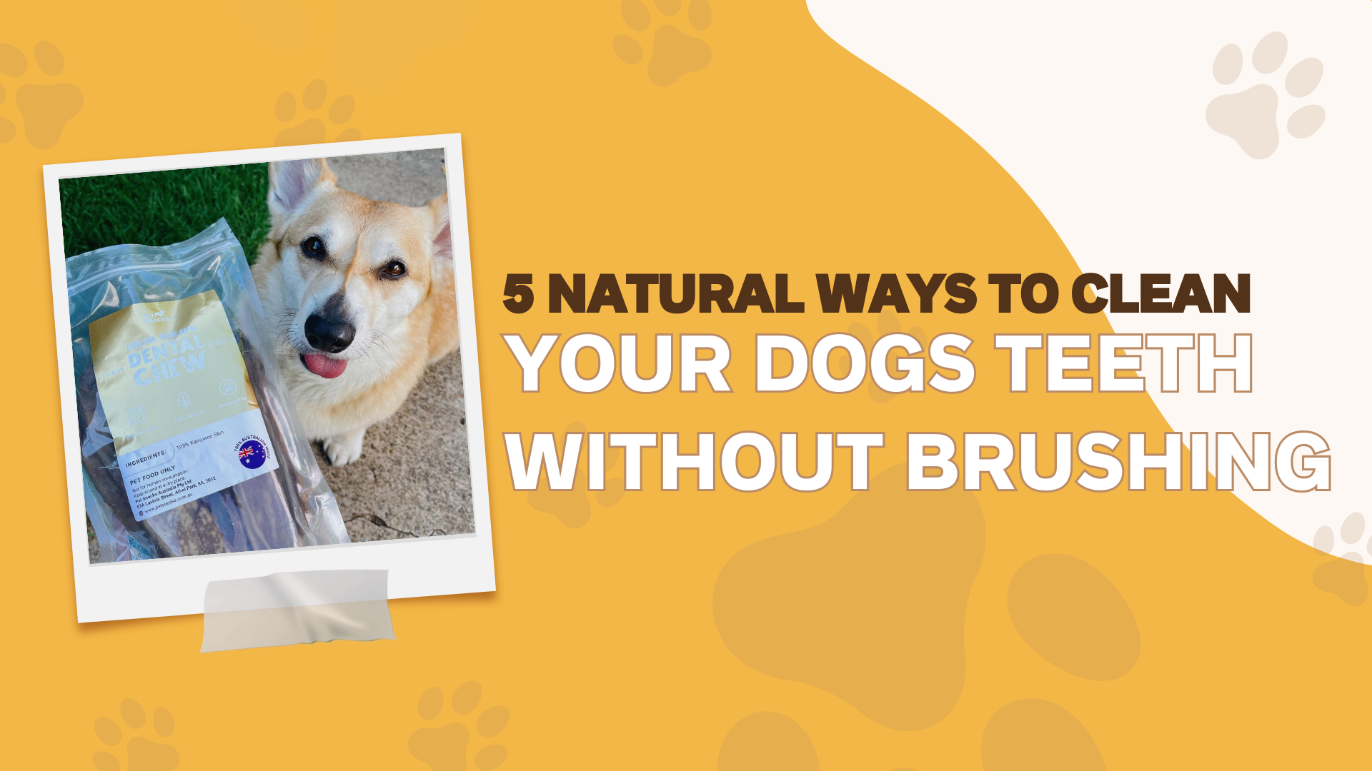 5 Natural Ways To Clean Your Dog’s Teeth Without Brushing Pet Snacks