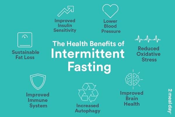 Health Benefits of Intermittent Fasting Improved Brain Health Stress Blood Pressure Insulin Sensitivity Fat Loss Immune System Autophagy