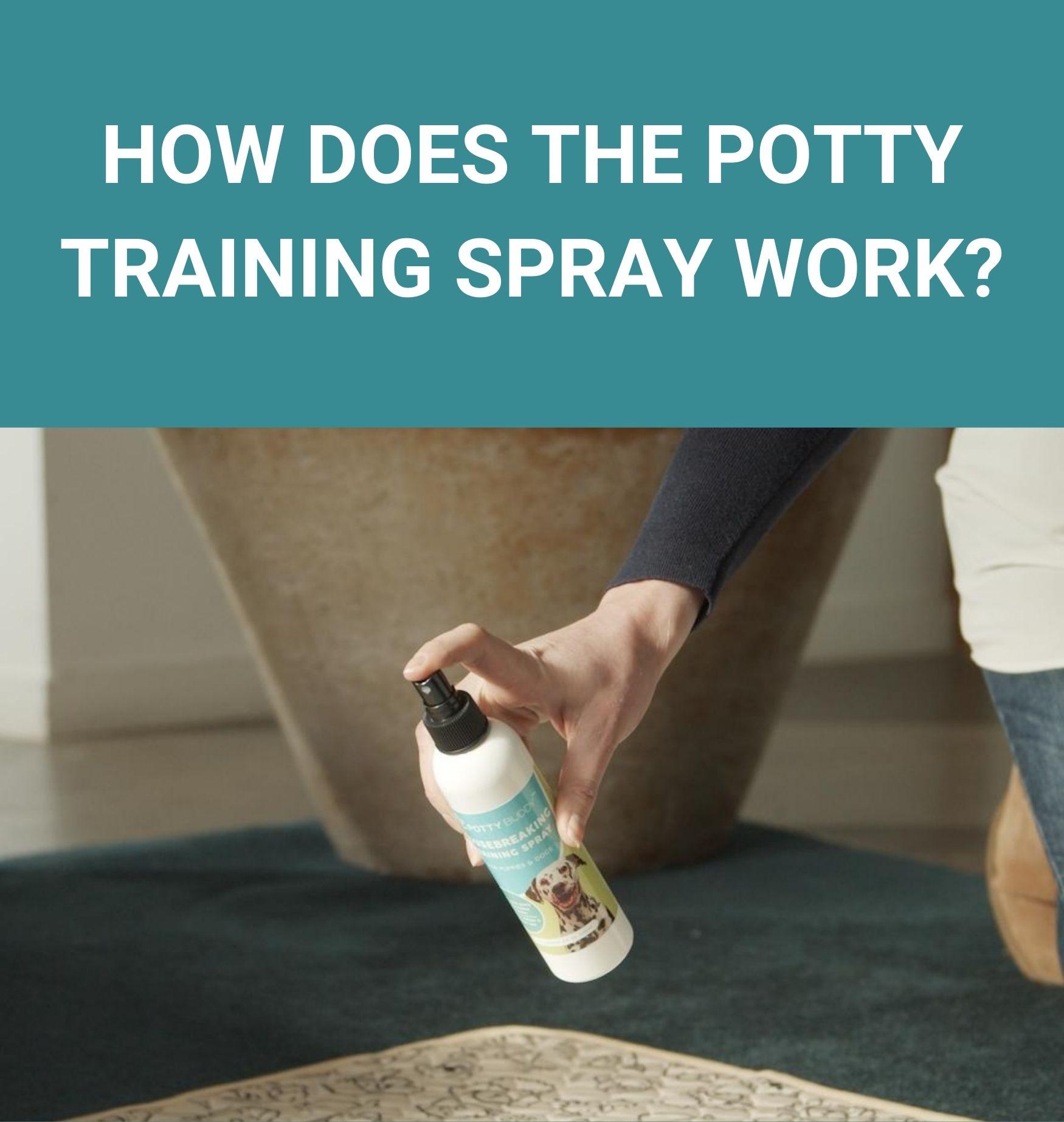 How Does The Potty Training Spray Work? Potty Buddy™