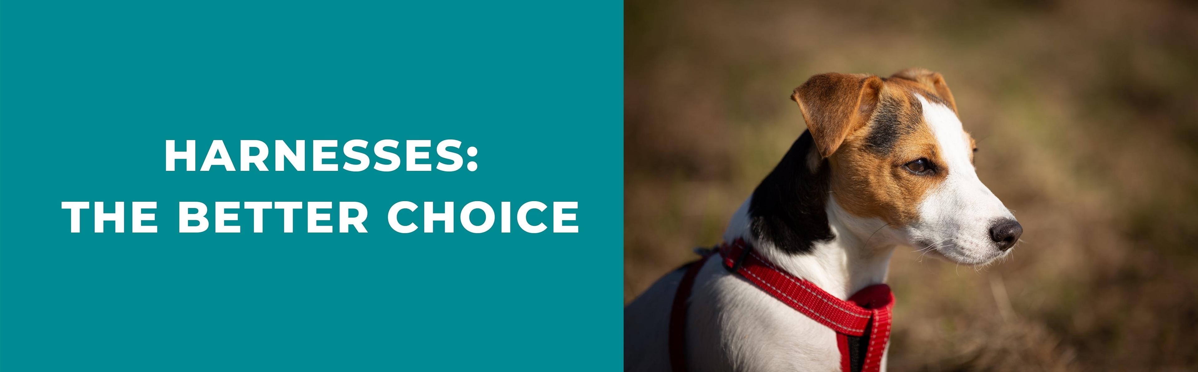 How To Pick The Perfect Harness For Your Puppy Potty Buddy™