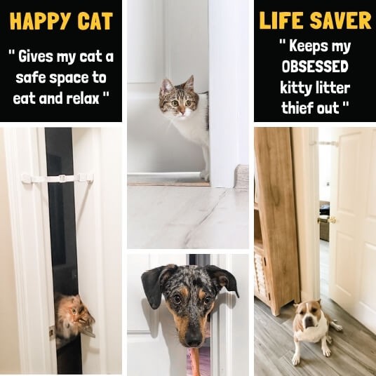 door cat strap to dog proof kitty litter box