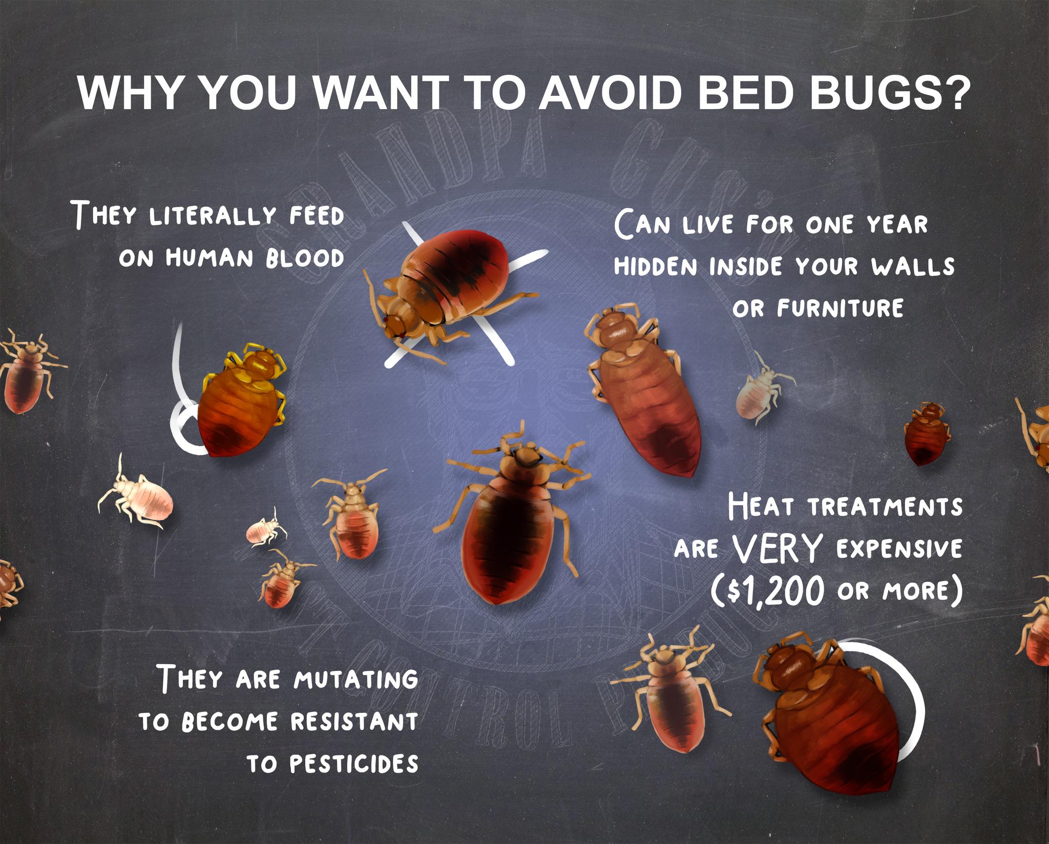 Ecobuggy's Bed Bug Detection, Prevention And Elimination Kit