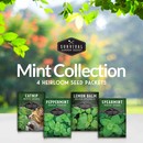 Mint seed collection - 4 varieties of mint for your herb garden