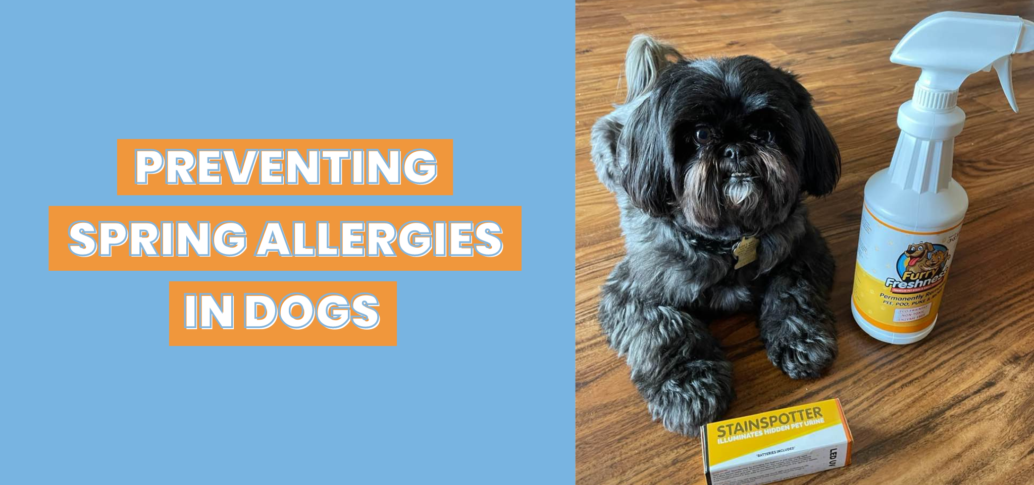 Preventing Spring Allergies In Dogs FurryFreshness Premium Stain and