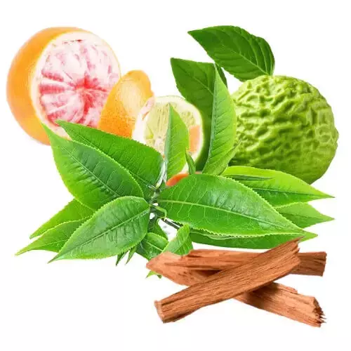 This is Vanilla and Frankincense