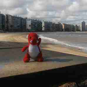 A dragon by the beach.