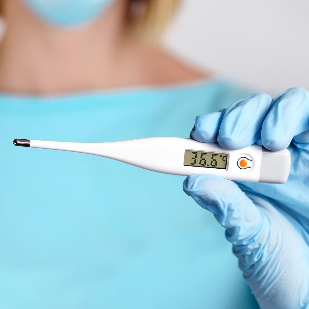 Hand in gloves holds digital rectal thermometer