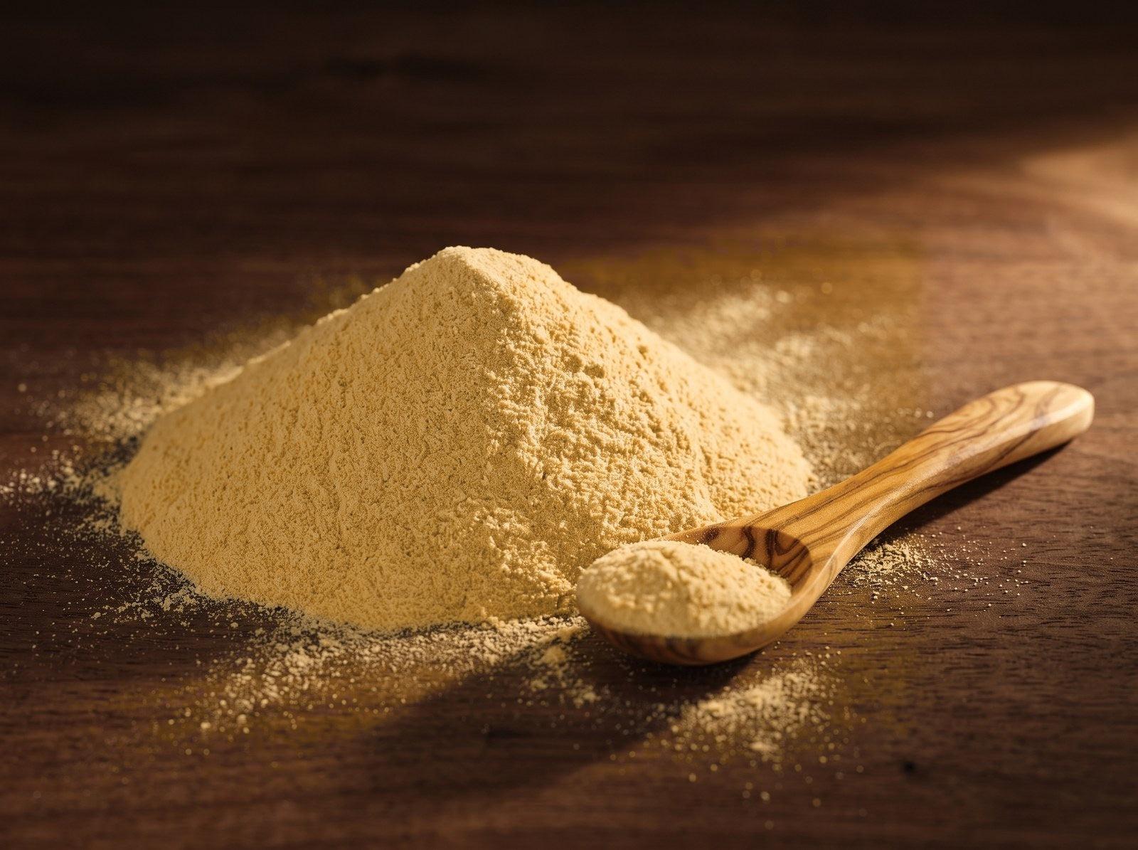 Fine, golden astragalus root extract powder with a wooden spoon