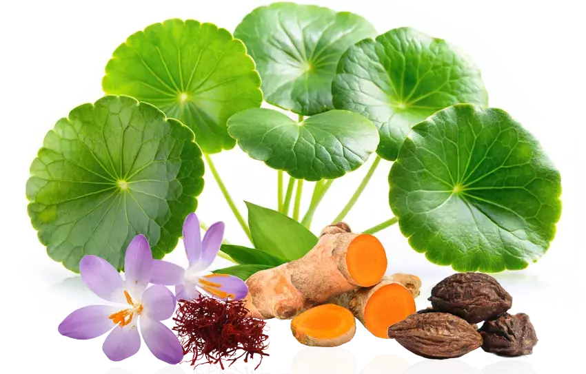 Chebula, Saffron, Turmeric, Amla, Gotu Kola