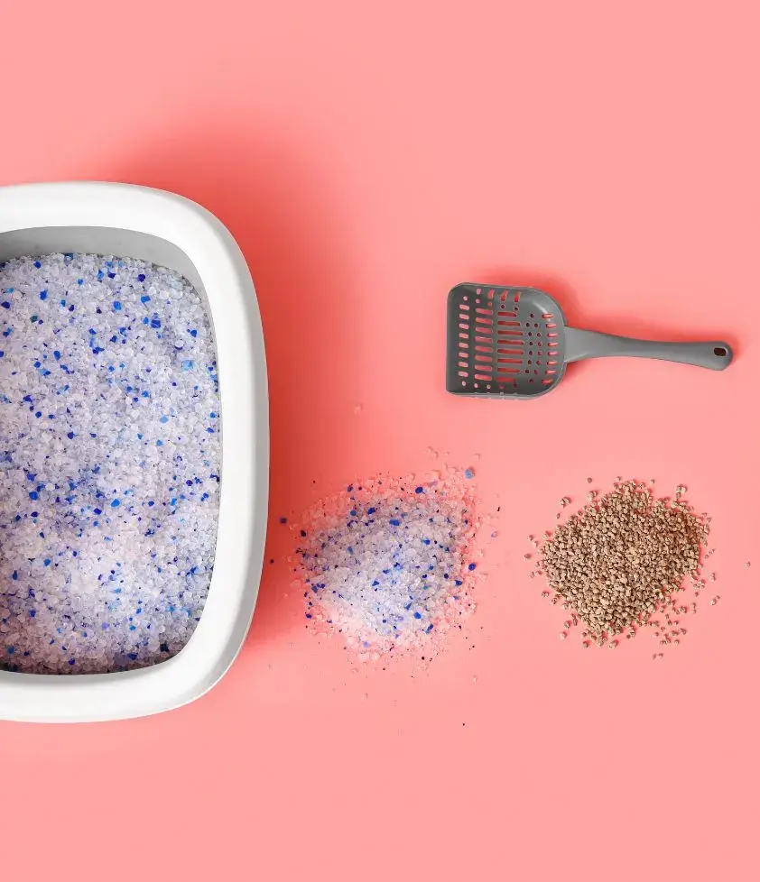 White and blue crystal cat litter spilled beside a litter box and scoop