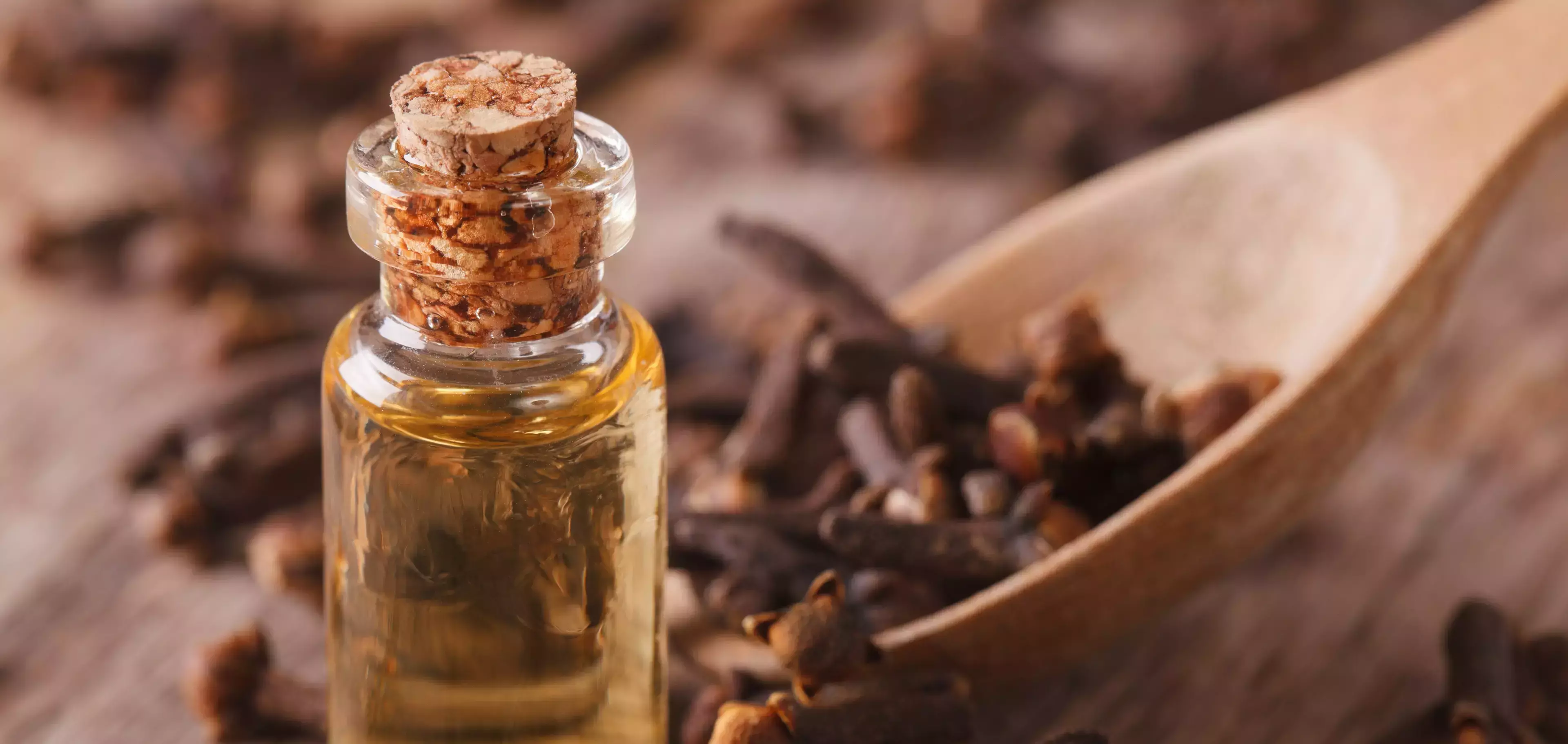 Small glass bottle of clove oil with whole cloves in a wooden spoon, natural clove oil used as a garden pest deterrent.