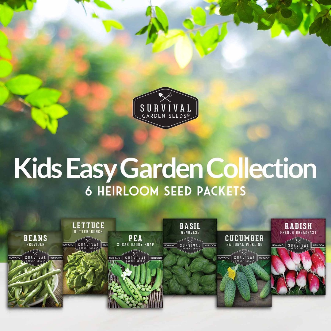 Kids Easy Garden Seed Collection