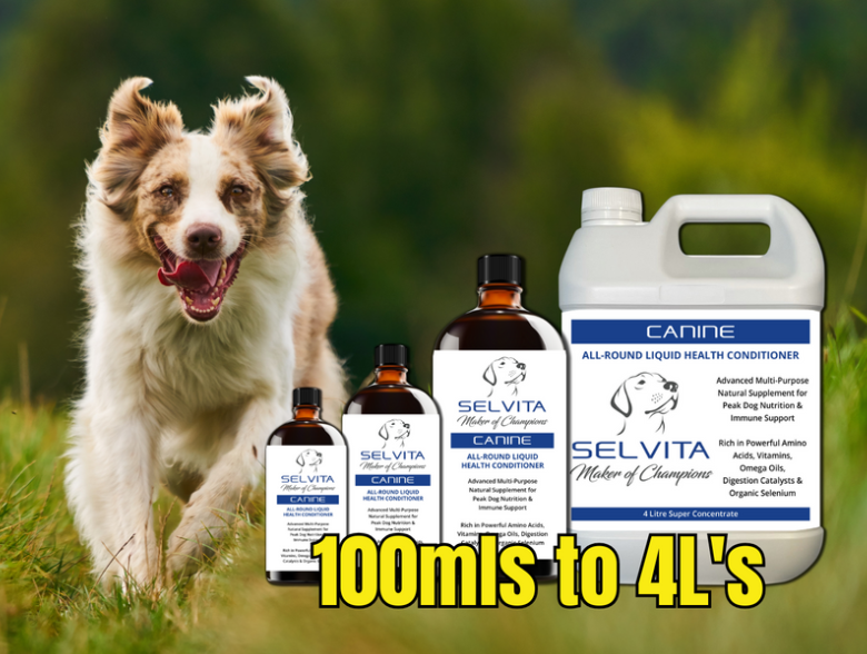 Selvita Canine Product Images with dog 100ml to 4L 2