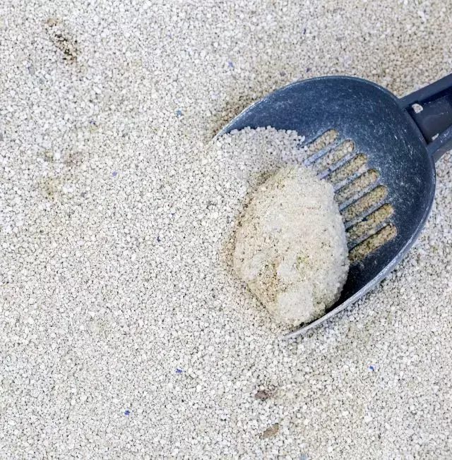 clumping cat litter