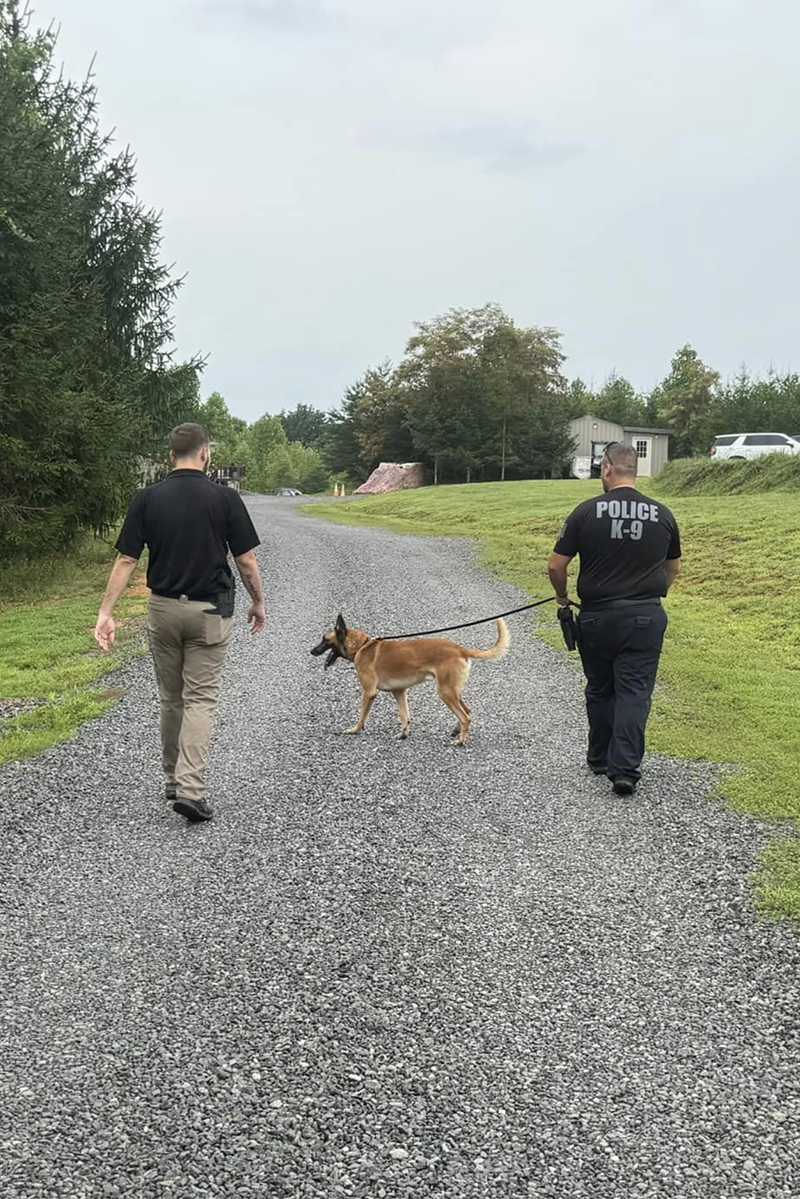 k9 krank taking a walk