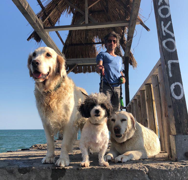 Pet Dreamland REGISTER WARRANTY PetDreamland