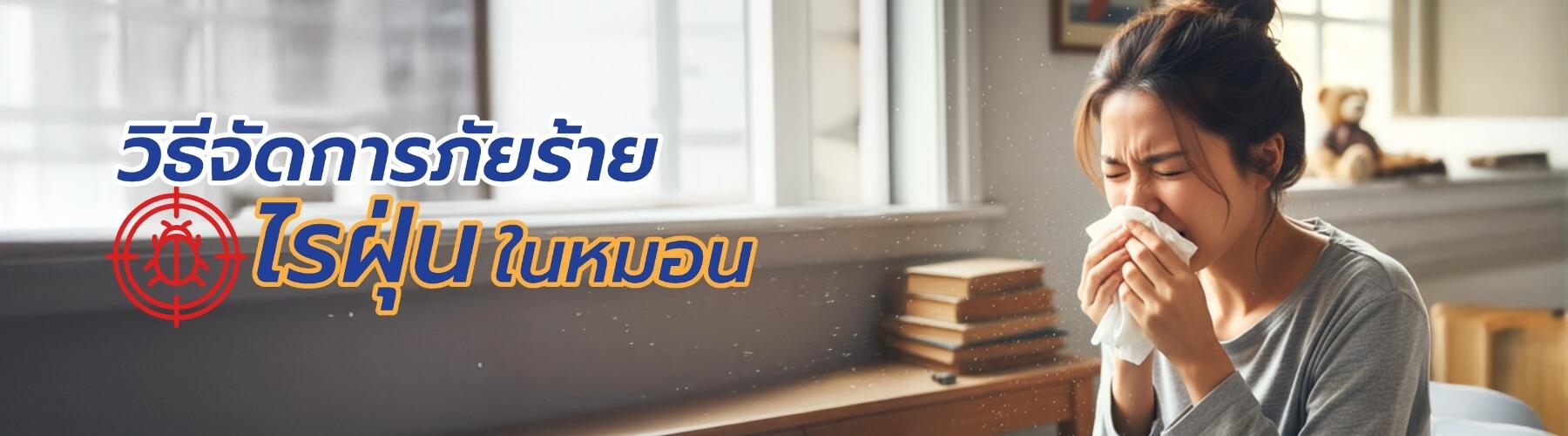 วิธีจัดการภัยร้ายไรฝุ่นในหมอน