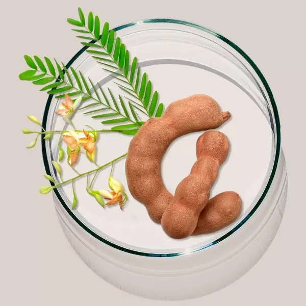 tamarind hydro cloud
