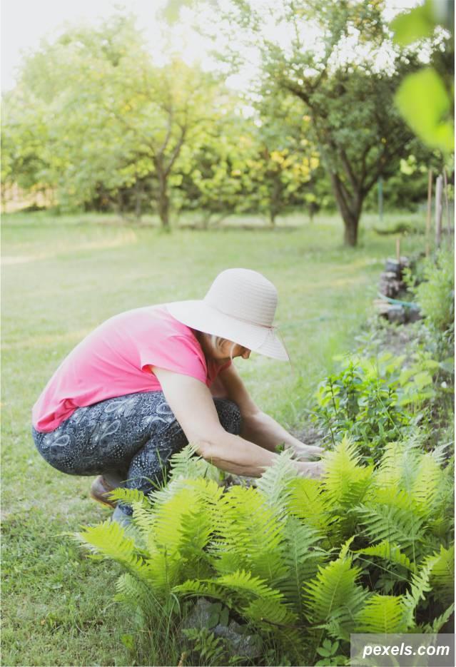 berkebun, halaman rumah, selamat hari ibu, kegiatan bareng ibu