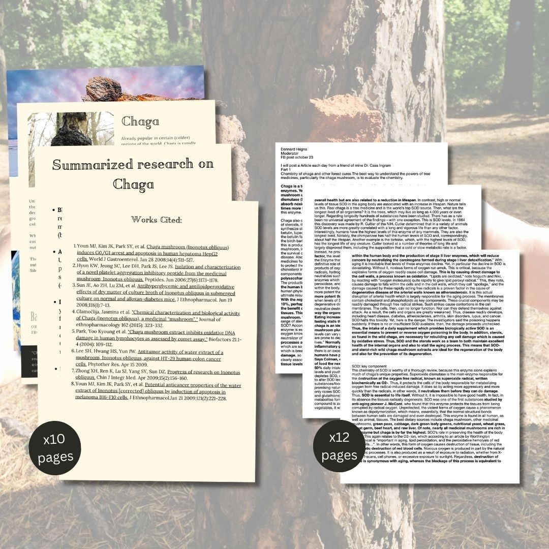 Scinetific Proof on Chaga Mushroom Download 20+ pages