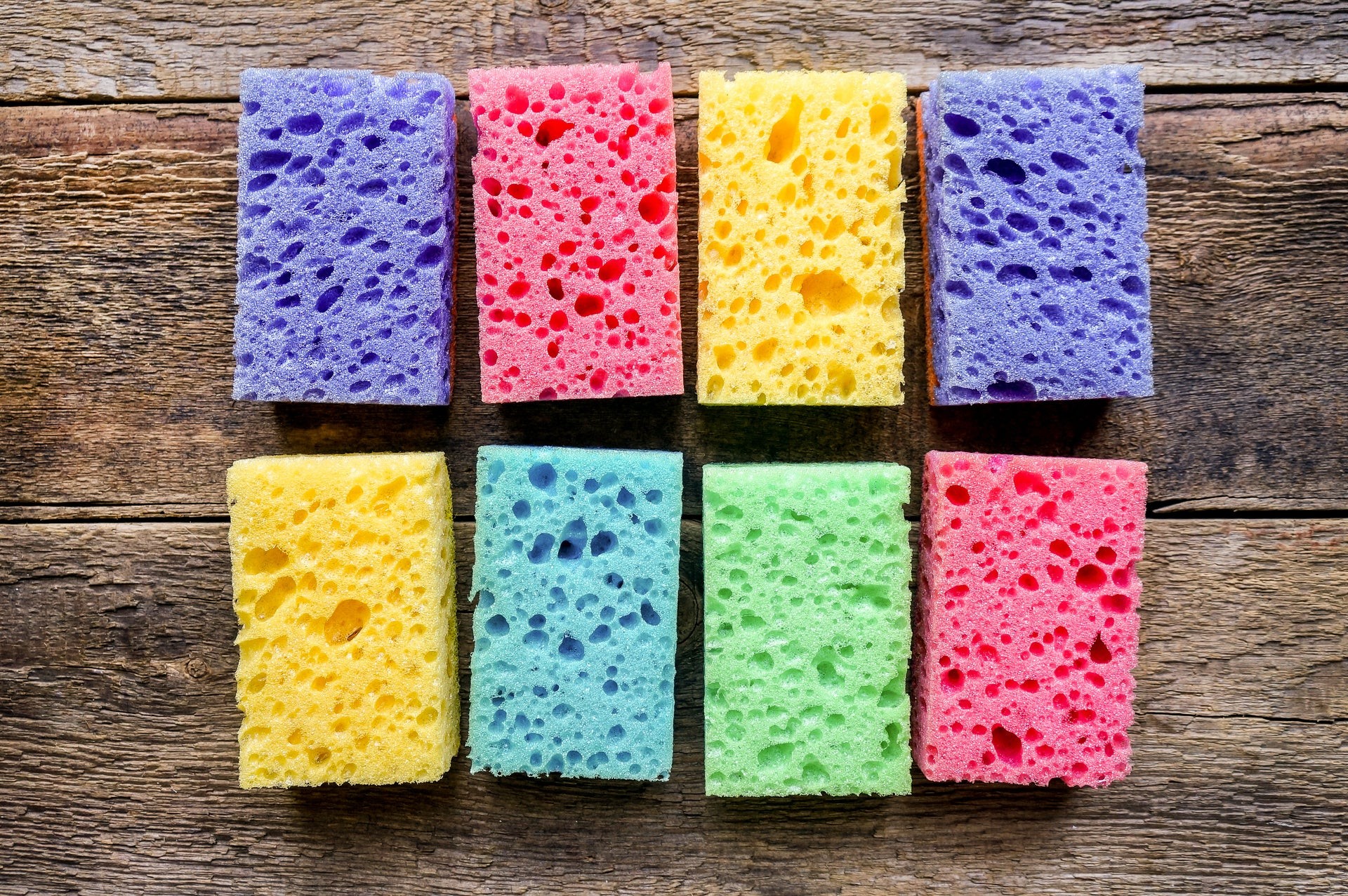 A Food Editor Shares Her Favorite Sponges