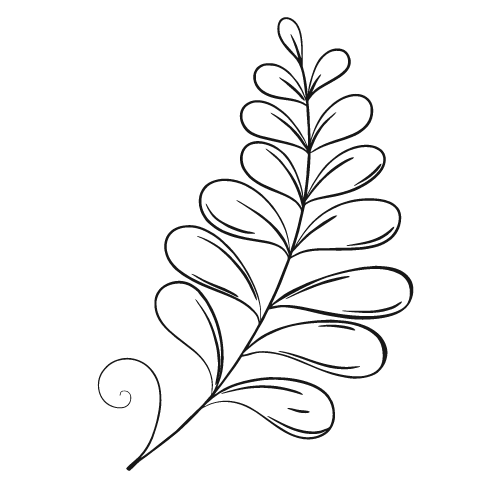 organic leaf drawing image
