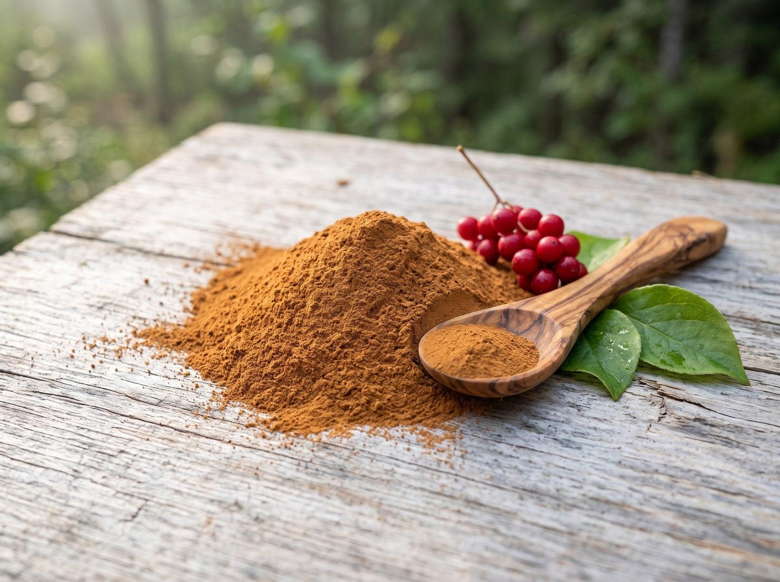 Schizandra berry extract powder with a wooden spoon and fresh red schizandra berries