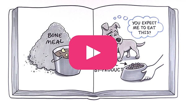 HOW KIBBLE IS MADE