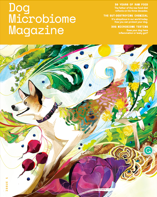 Dog Microbiome Magazine