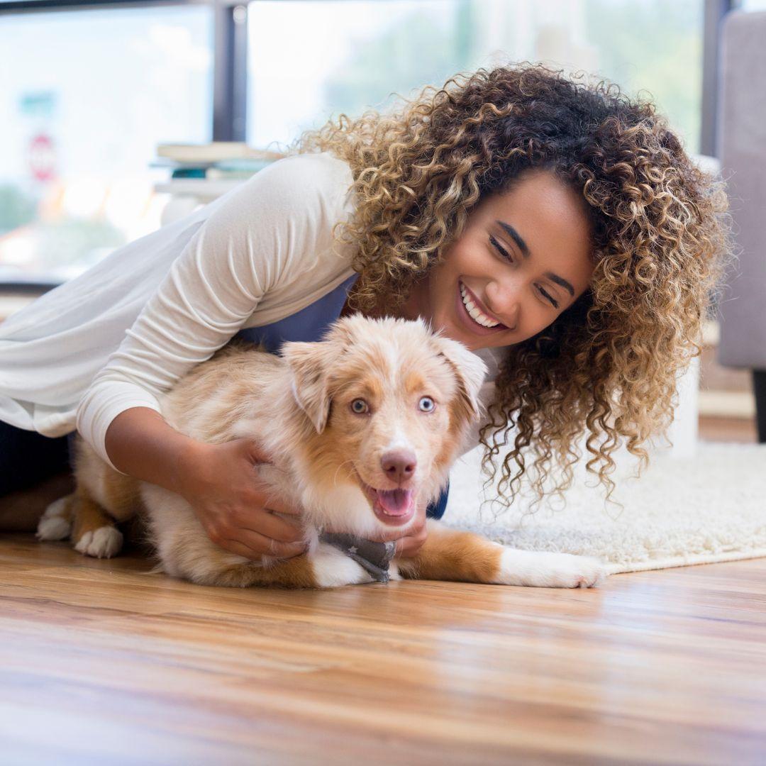 Young woman training puppy