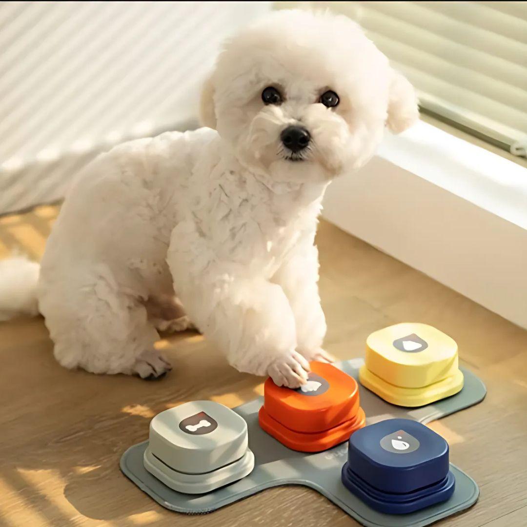 A white puppy pressing button