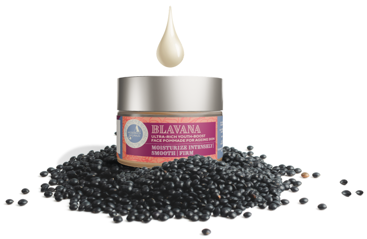 Blavana Ultra-Rich Youth-Boost Face Pommade jar with cream drop on a bed of black gram