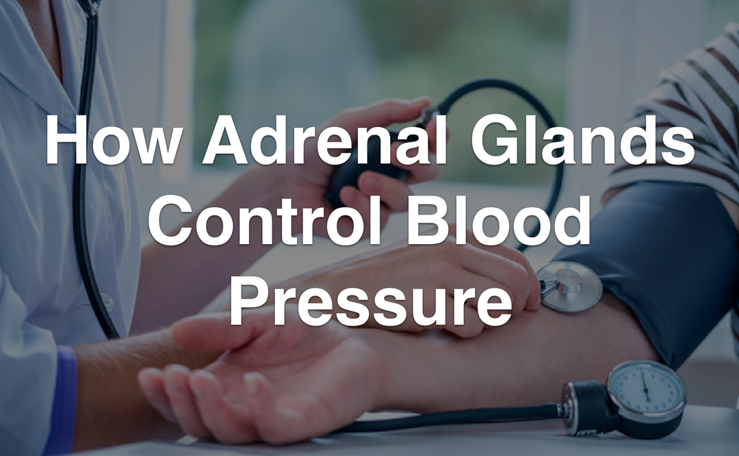 how-adrenal-glands-control-blood-pressure