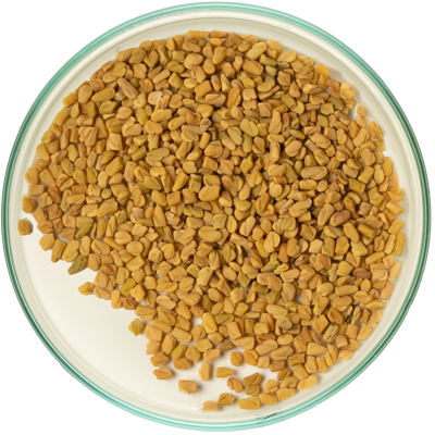 Feenugreek seeds