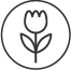 No Synthetic Fragrance