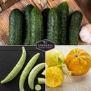 3 varieties of cucumbers