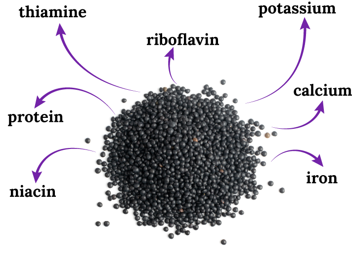 Black gram high levels of protein , potassium, calcium , iron , niacin, thiamine and riboflavin