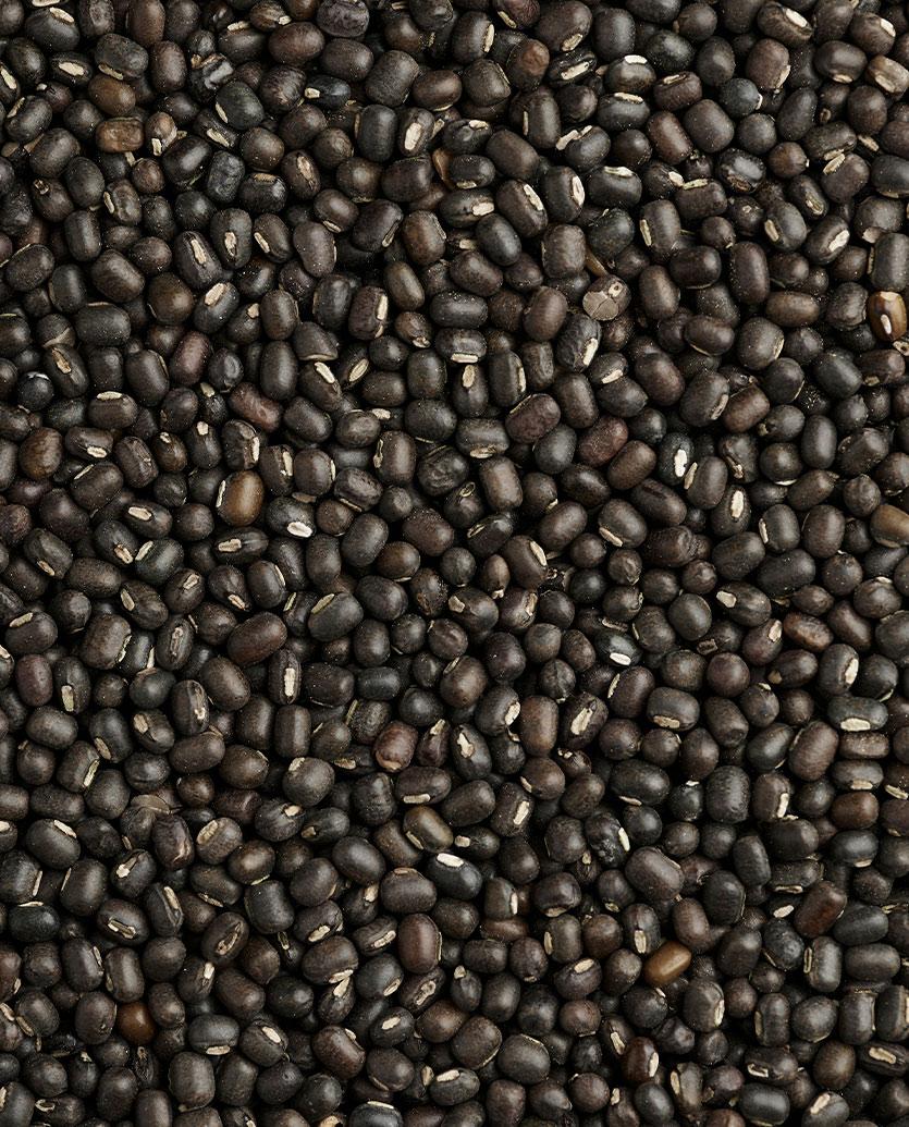 Black Gram Lentil