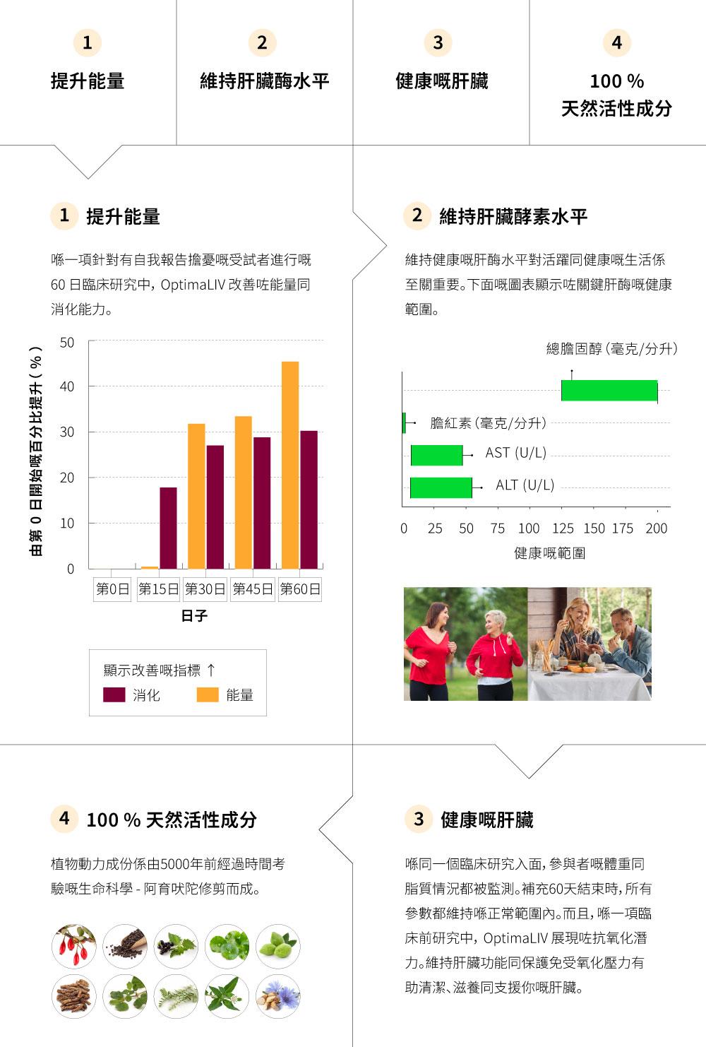 OptimaLIV 可以提升能量，有助維持健康嘅肝酵素水平，支援最佳肝臟功能，而且含有100 % 天然活性成份。
