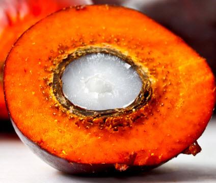 Palm kernel oil for a bigger tboost