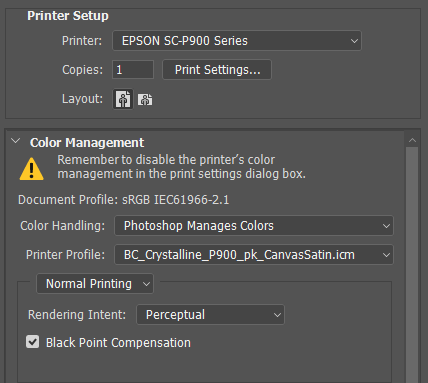 Photoshop settings for Lyve Canvas on the Epson Surecolor P-900 using Perceptual rendering intent