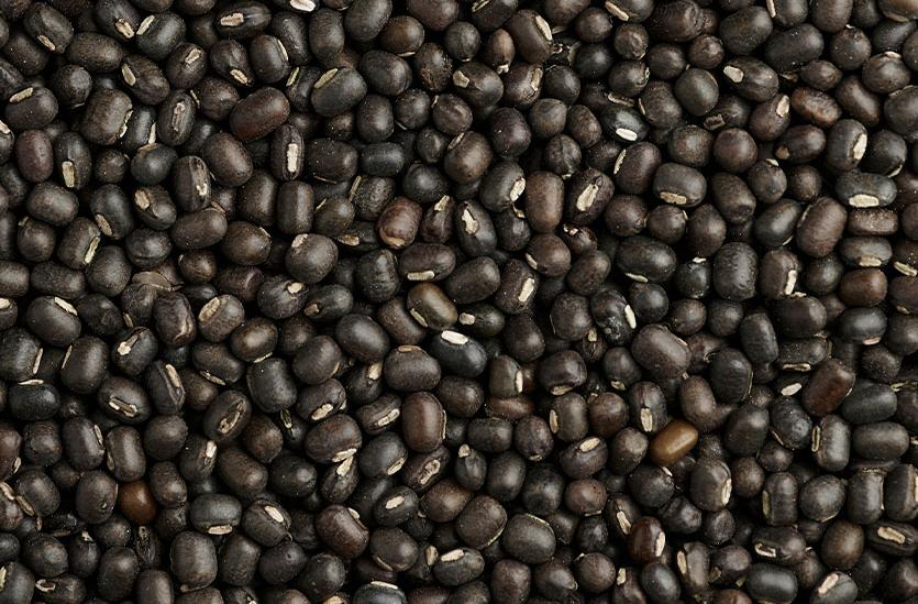 Black Gram Lentil 2