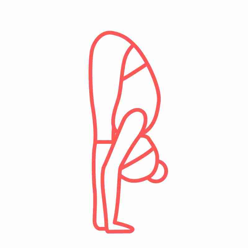 Standing Forward Bend (Uttanasana)