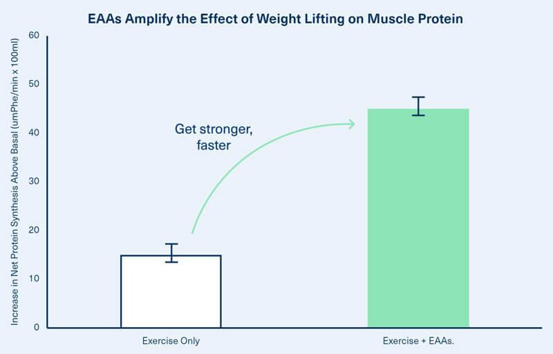 Collagen is the main protein found in skin and hair.